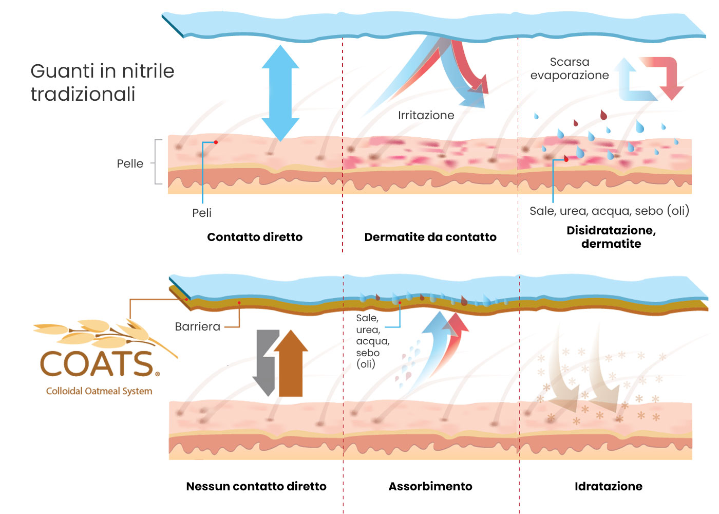 Comparativa guanti Derma Aven Nitrile vs tradizionali